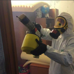 Уничтожение клопов в квартире. Симферополь